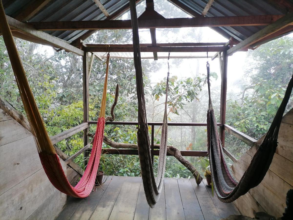 Paraiso Verde Chijou Exterior photo