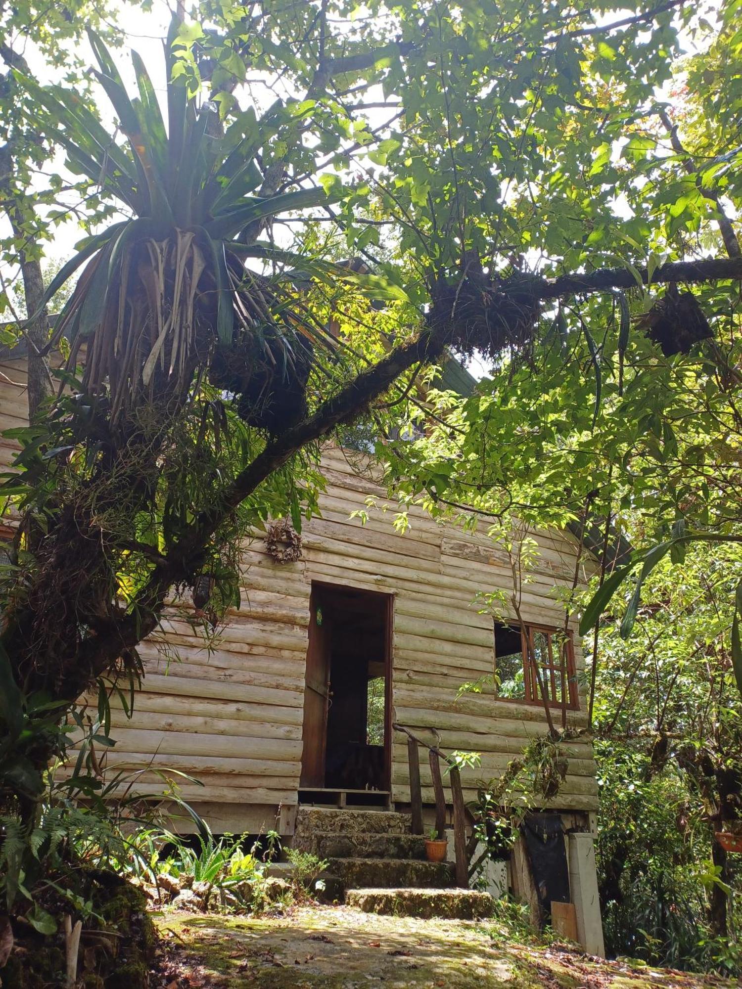 Paraiso Verde Chijou Exterior photo