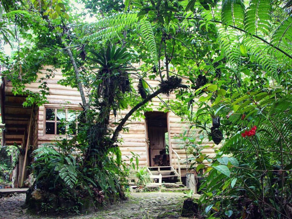 Paraiso Verde Chijou Exterior photo